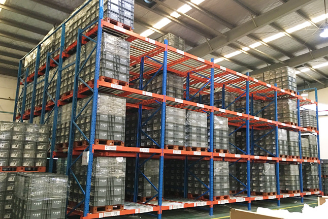 Gravity Flow Racks Roller Racking Systems